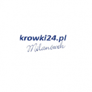 krowki24 logo